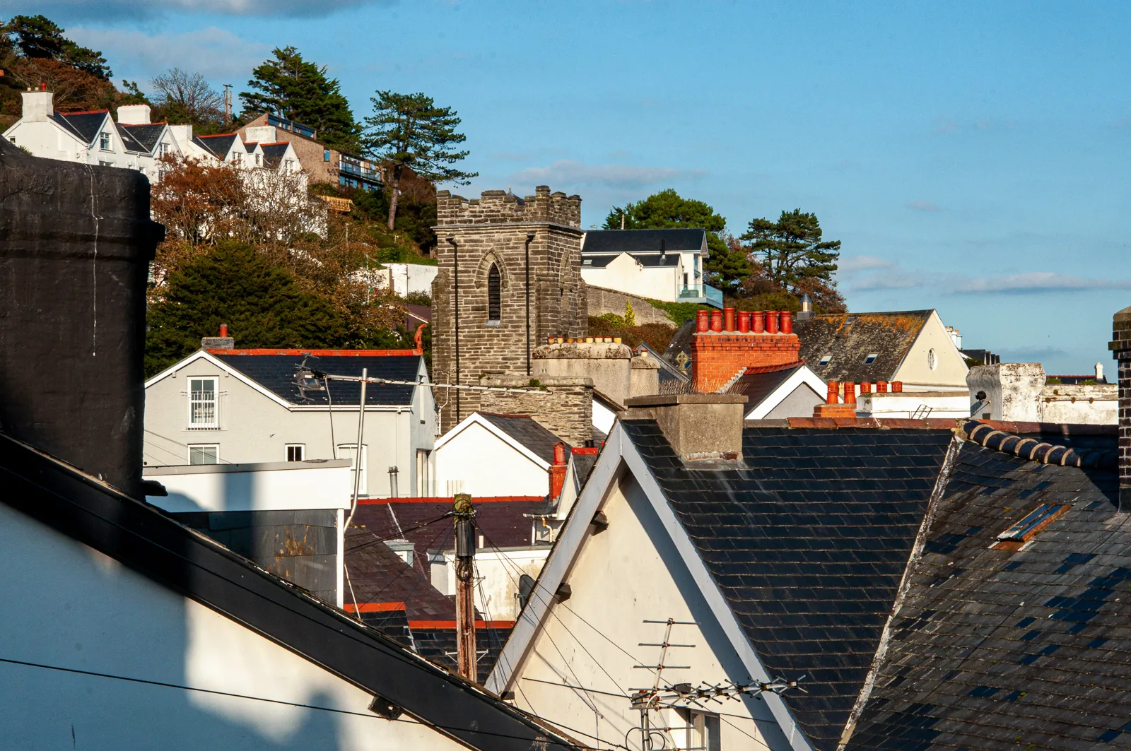 Slate roofs and chimneys climbing the wooded hillside above Aberdyfi, the church tower among them