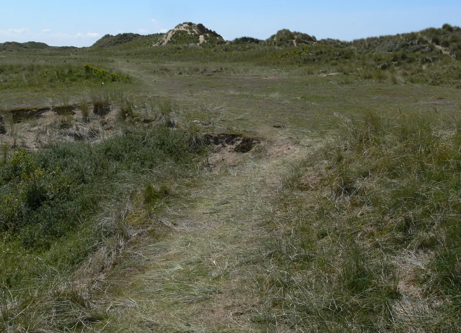 A sandy path cutting between marram-covered dunes at Tywyn Aberffraw