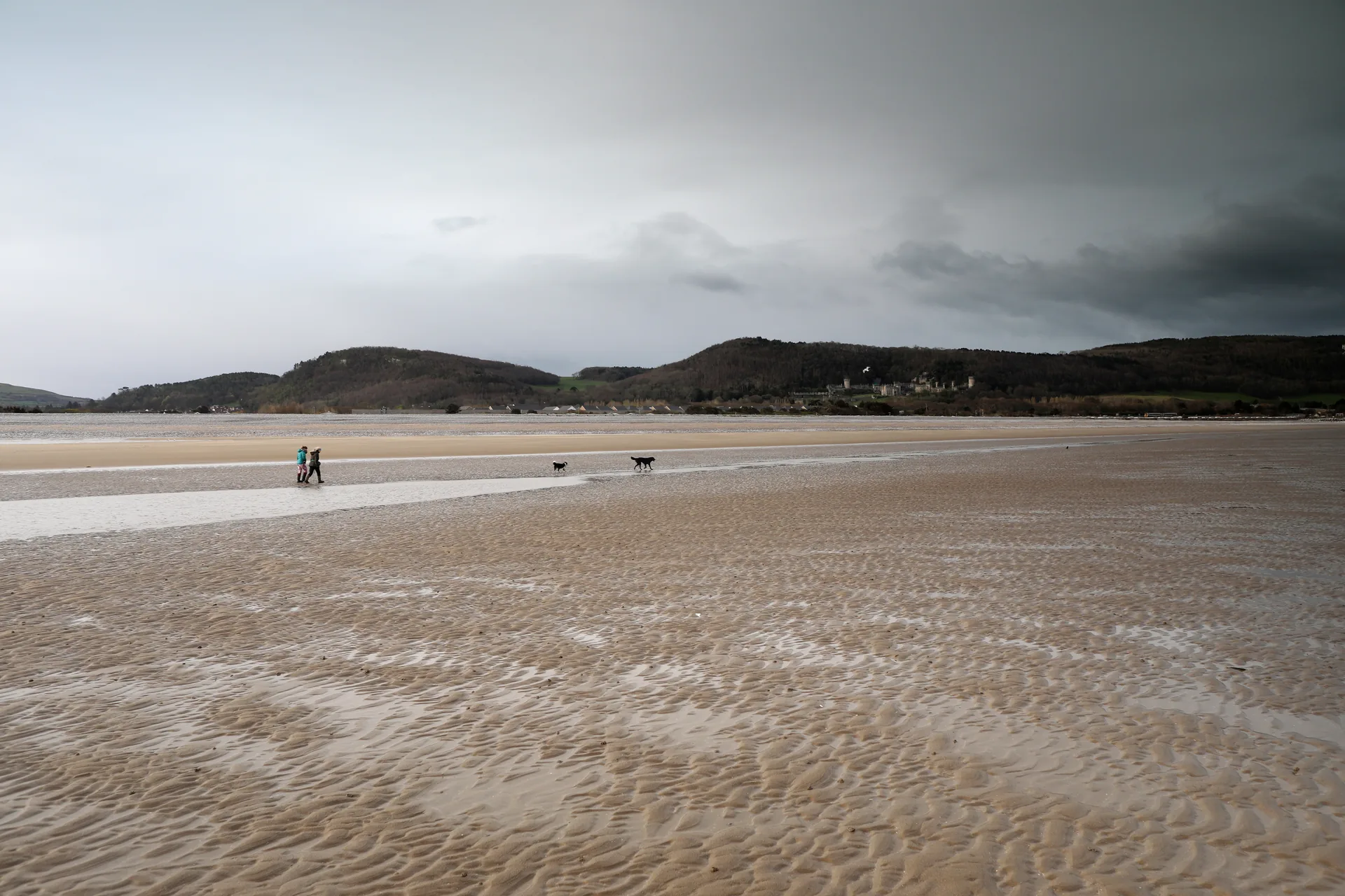 Wide low-tide sand at Abergele beach under a dark sky, two walkers and two dogs small in the distance, with the wooded hills and the pale outline of Gwrych Castle along the horizon