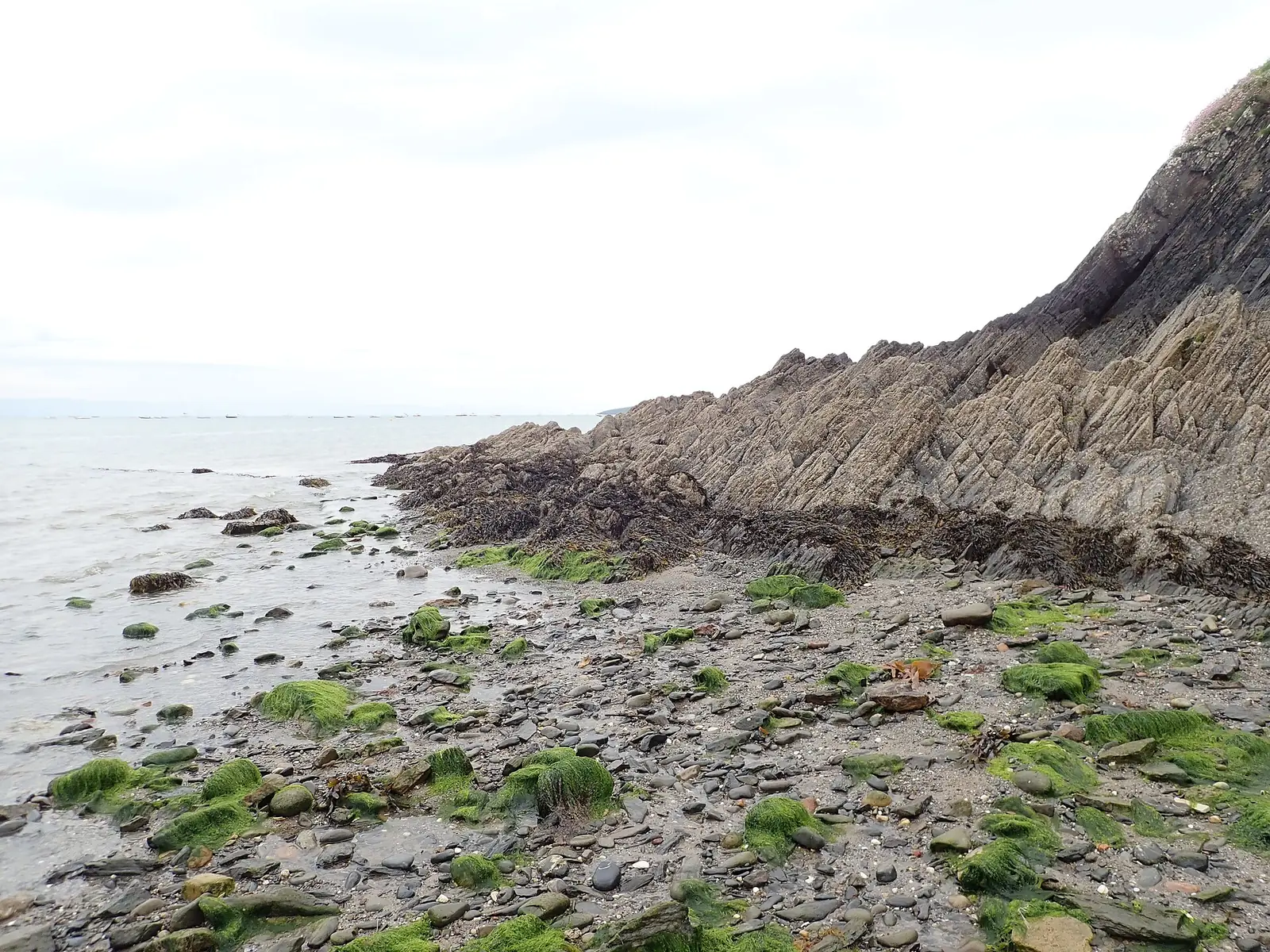 The rocky headland between Abersoch village and the beach, grass and rock above the shore