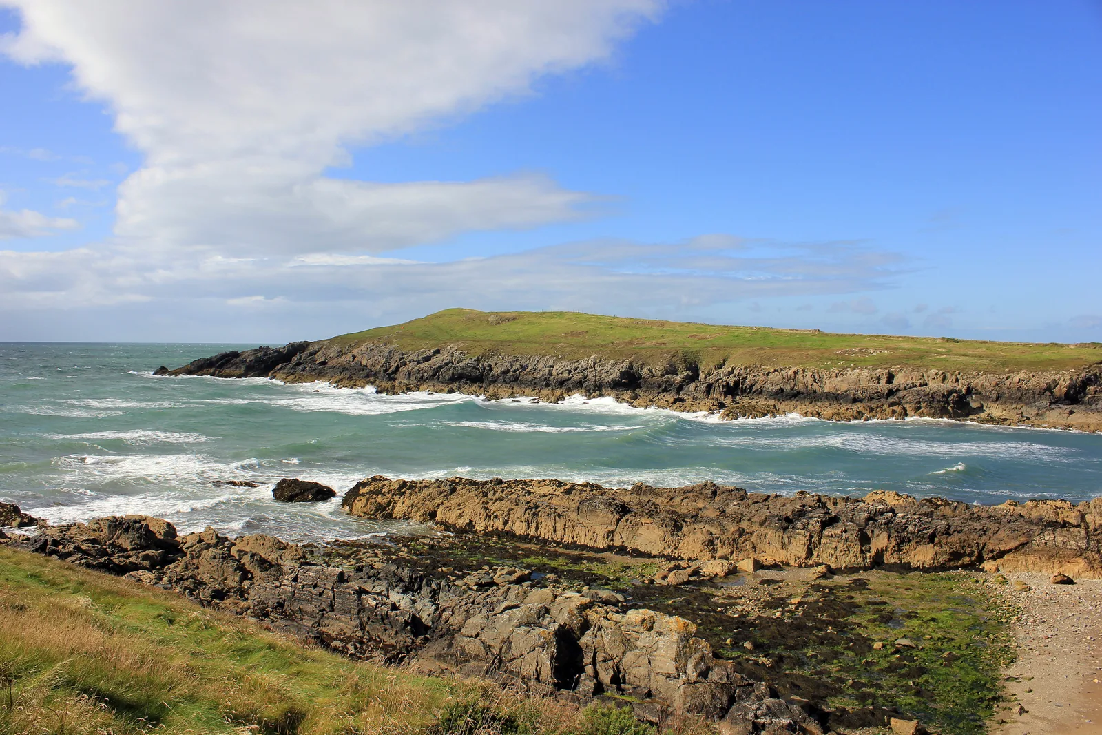 The low green headland carrying Barclodiad y Gawres, seen across the rocky foreshore at Porth Trecastell under a blue sky.