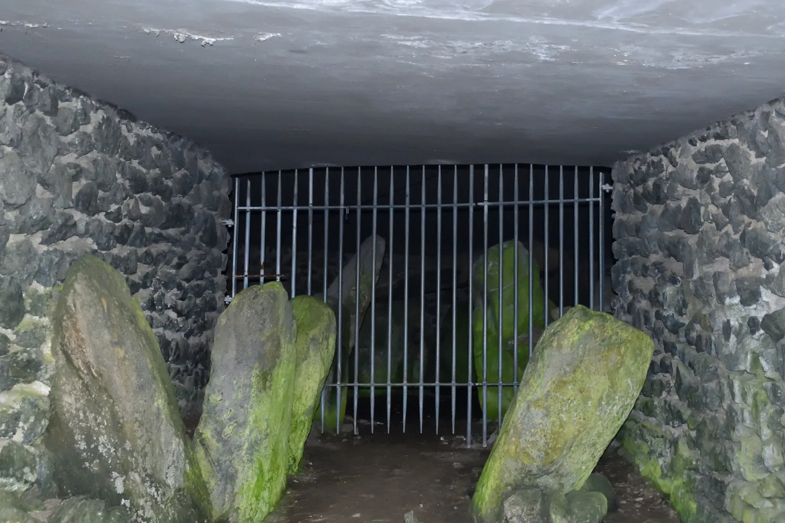 Inside the entrance passage of Barclodiad y Gawres: leaning stone uprights, a modern concrete roof above, and a barred inner gate closing the way to the chamber.