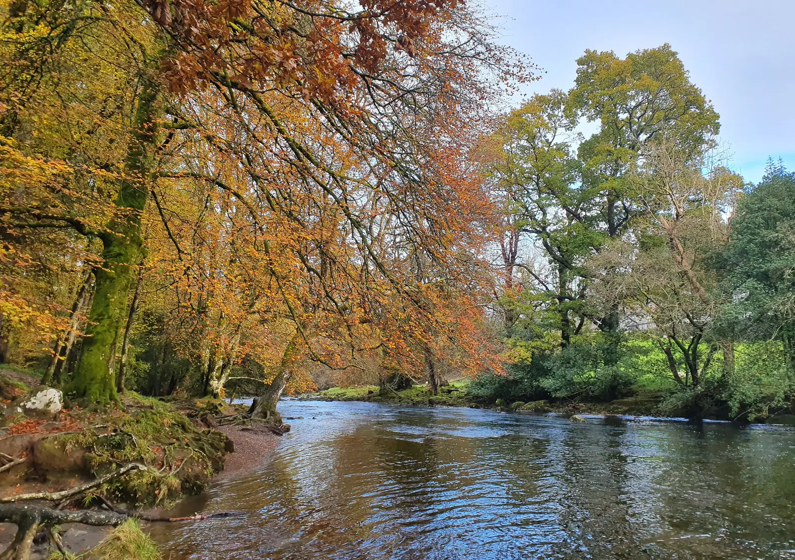 The Afon Llugwy in autumn, still water under trees turning colour