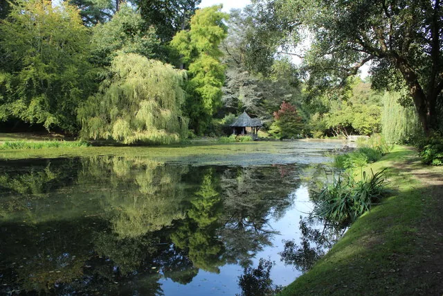 The water garden pond at Bodnant Garden, with a pavilion and mature trees reflected in still water.