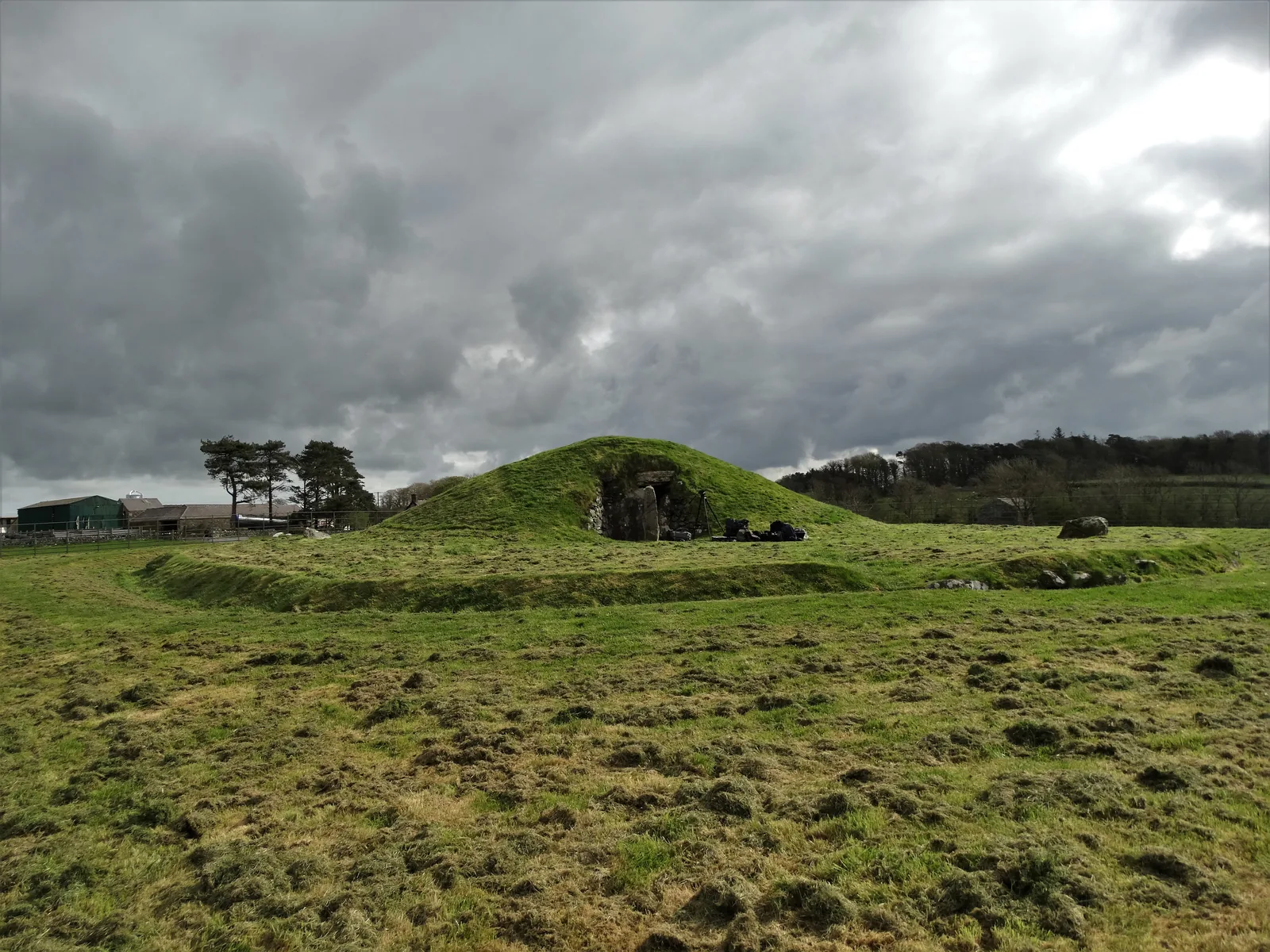The low, grass-covered mound of Bryn Celli Ddu rising from open Anglesey farmland, seen across a field.