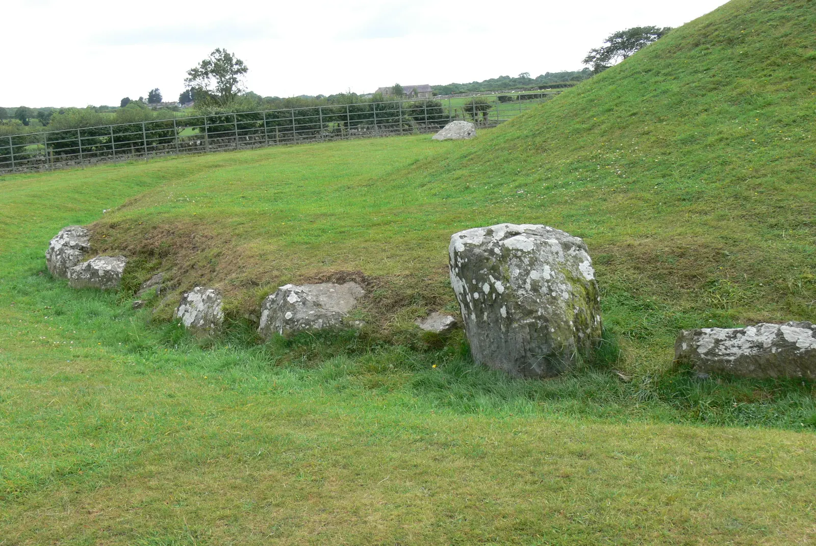 Upright stones of the henge standing on the grass outside the mound of Bryn Celli Ddu.
