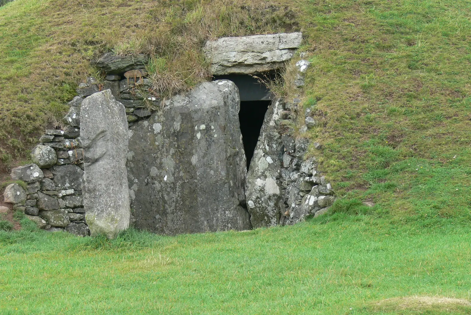 A stone-framed opening set into the grassy flank of the Bryn Celli Ddu mound, upright stones around a low dark doorway.