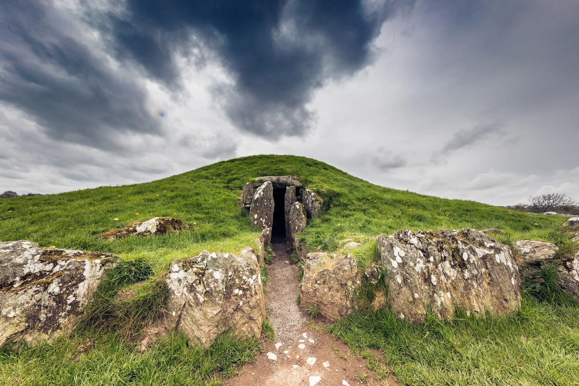 The stone-lined entrance of Bryn Celli Ddu's passage tomb set into its grass-covered mound, Anglesey farmland behind.