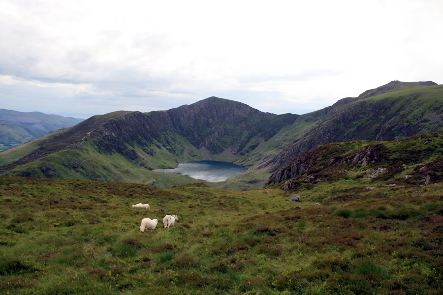 The summit ridge of Cadair Idris above Dolgellau in southern Gwynedd.