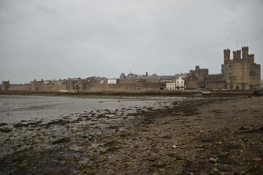 Caernarfon seen across the foreshore at low tide, the full run of its medieval town wall leading to the castle at the far end.