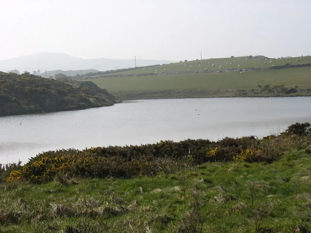 The brackish Cemlyn lagoon behind gorse-lined banks on Anglesey&rsquo;s north coast, farmland and grazing sheep beyond.
