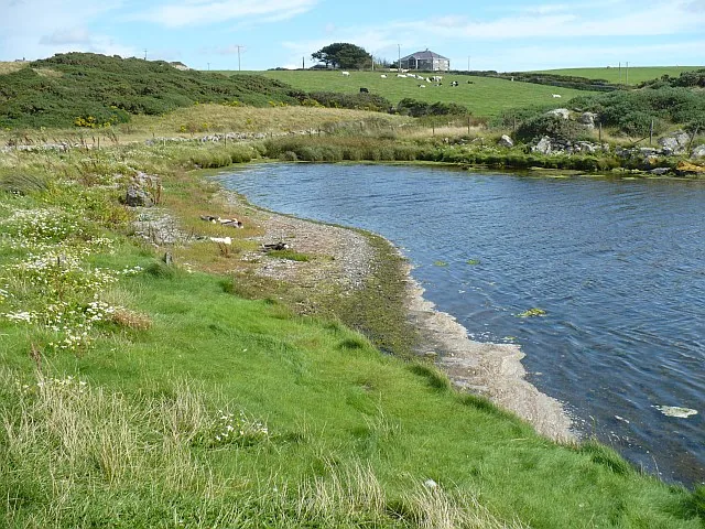 The brackish Cemlyn lagoon behind its grassy, gorse-lined banks, with farmland and grazing sheep beyond.