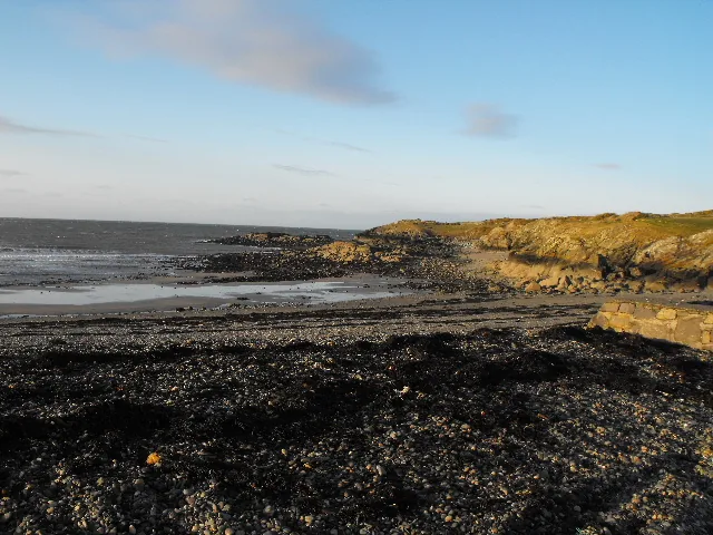 Cemlyn Bay at low tide, dark rock and seaweed uncovered along the shore in warm light.