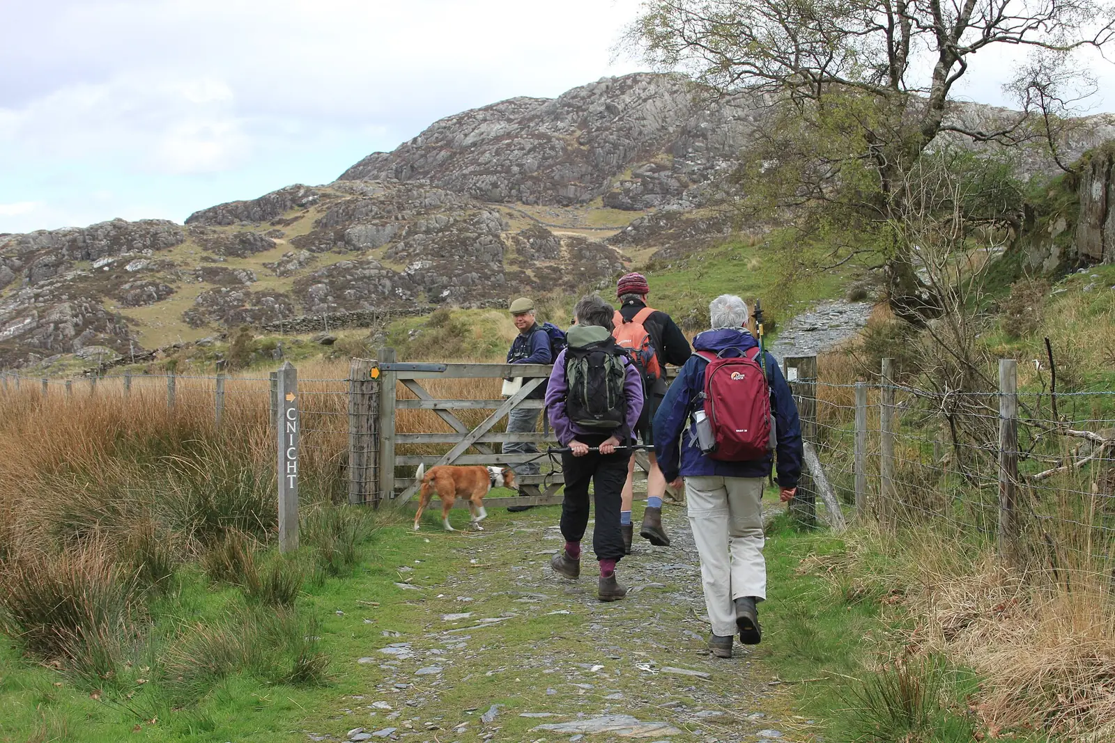 Hill walkers on the path climbing toward the summit of Cnicht