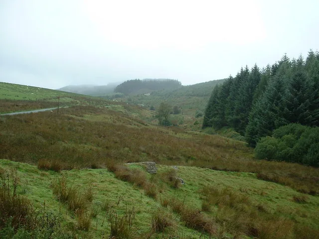 A wide view across open moorland to the forest of Coed y Brenin.