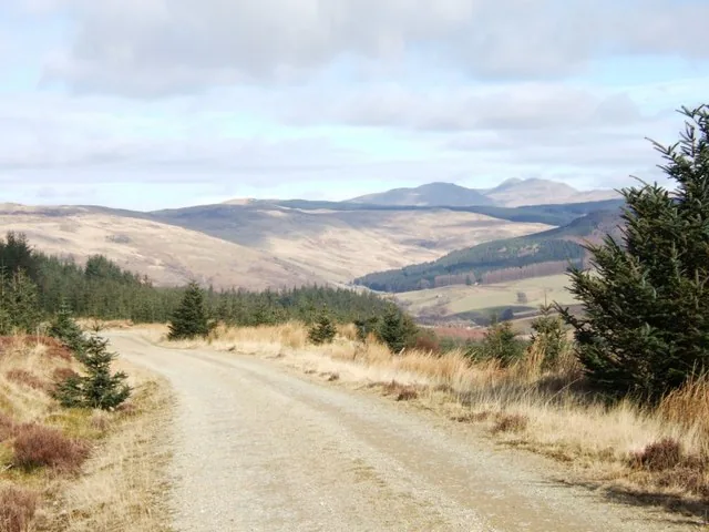A forest road running through the conifer plantation at Coed y Brenin.