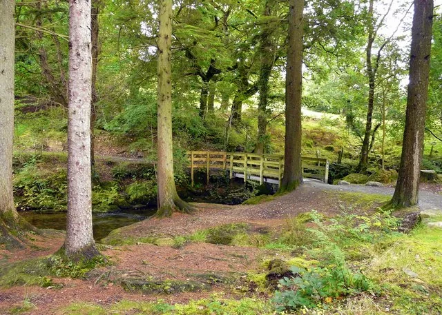 The accessible Forest Garden trail at Coed y Brenin, lined with trees from around the world.