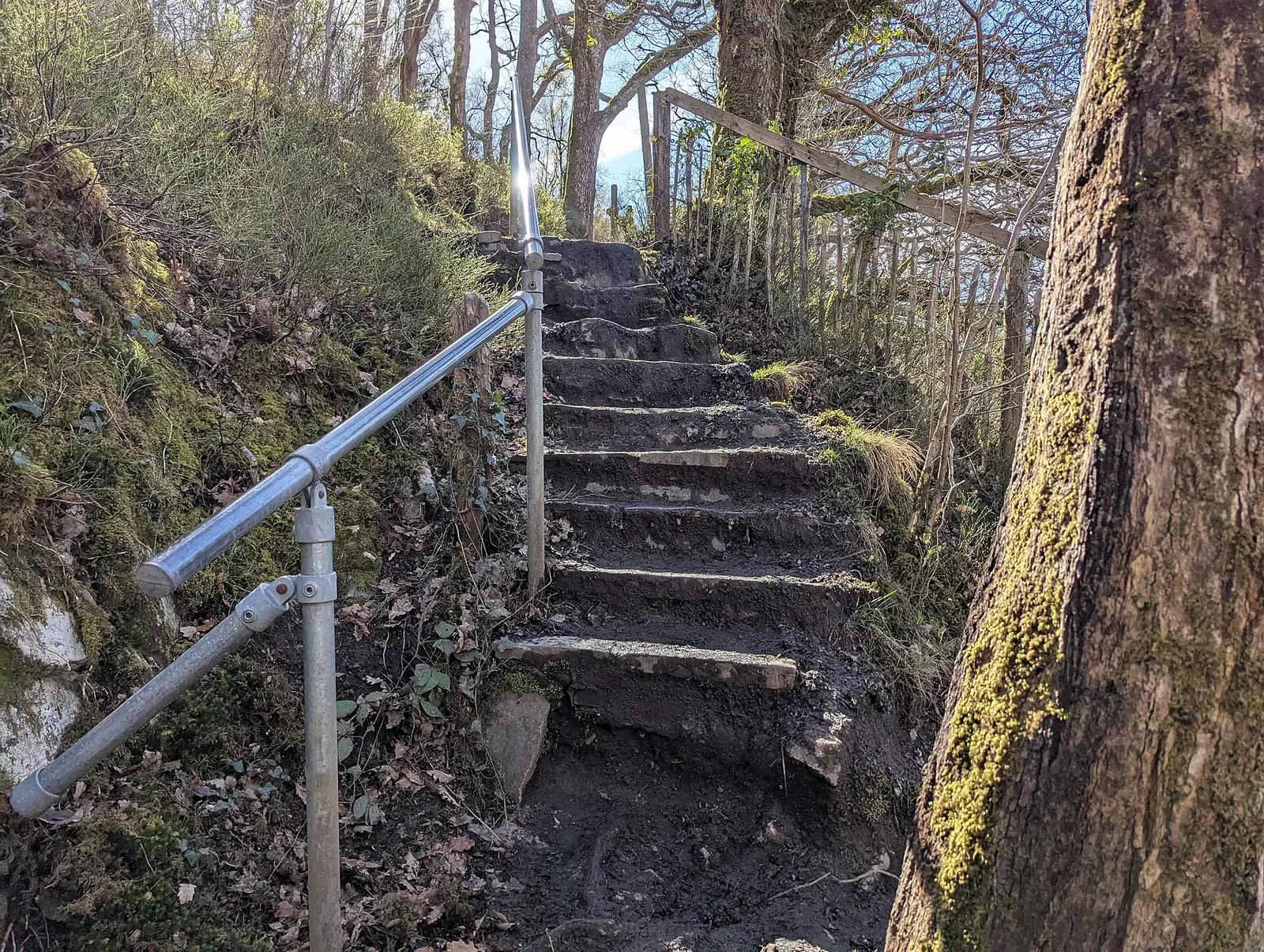 Steep, muddy stone steps with a metal handrail on the path down to Conwy Falls.