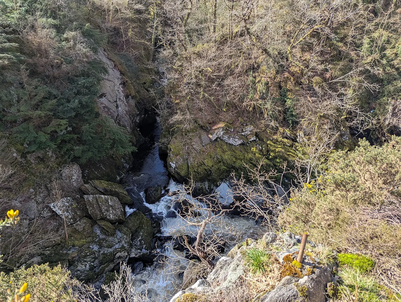 The River Conwy narrowing between rock walls in the gorge near Conwy Falls.