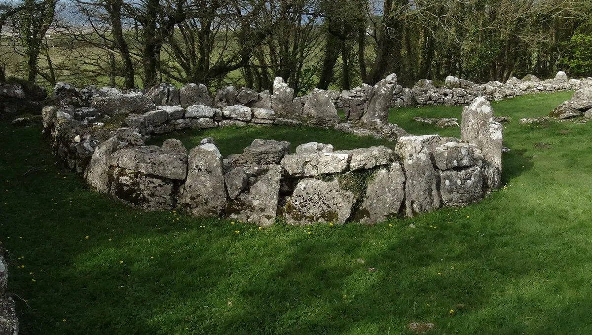 The circular stone walls of the Din Lligwy Romano-British hut group standing in a woodland clearing near Moelfre, Anglesey.