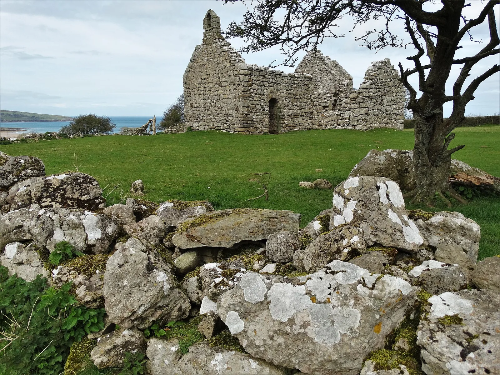 The roofless walls and bellcote gable of Hen Capel Lligwy standing in a field above Lligwy Bay, the sea behind.