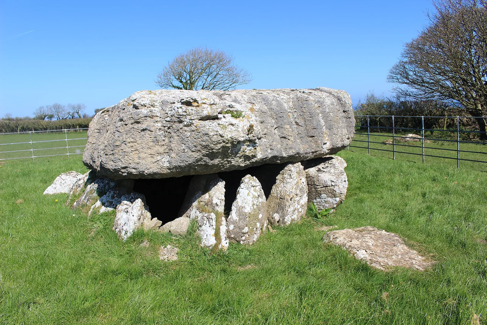 The massive capstone of the Lligwy Neolithic burial chamber resting on its stone uprights under a blue sky.