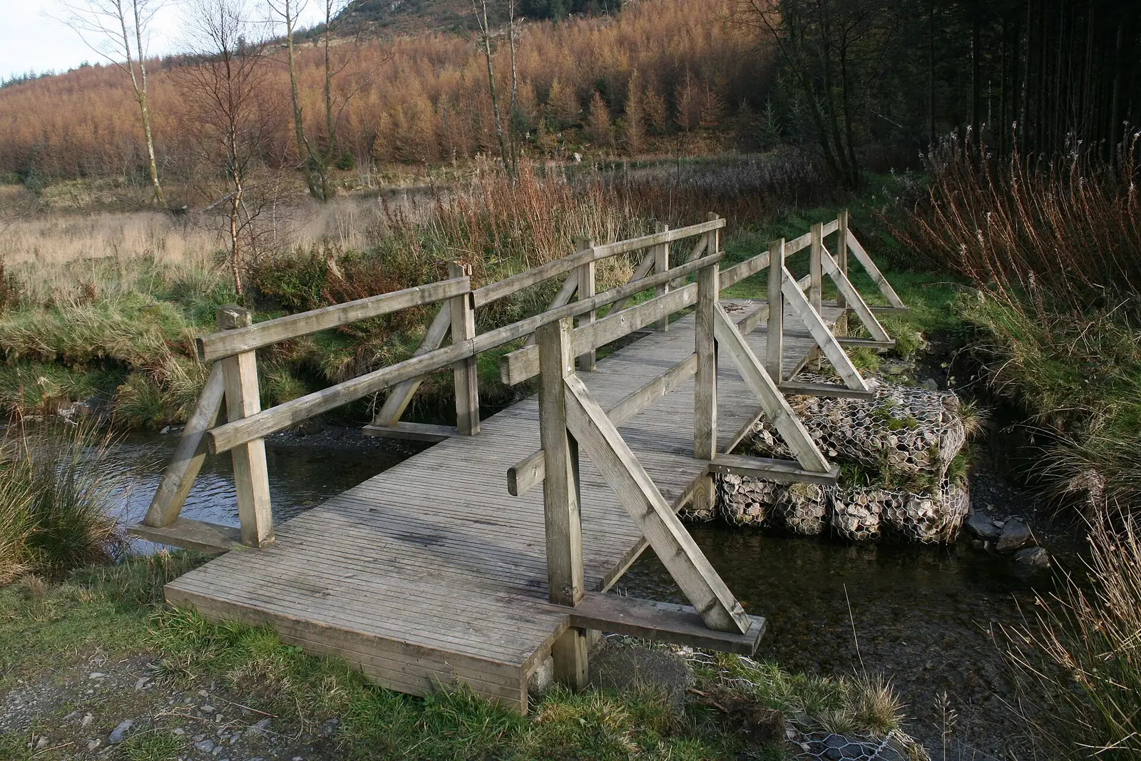A timber footbridge over the Afon Cwm Penamnen, rough stone banks and bare trees beyond