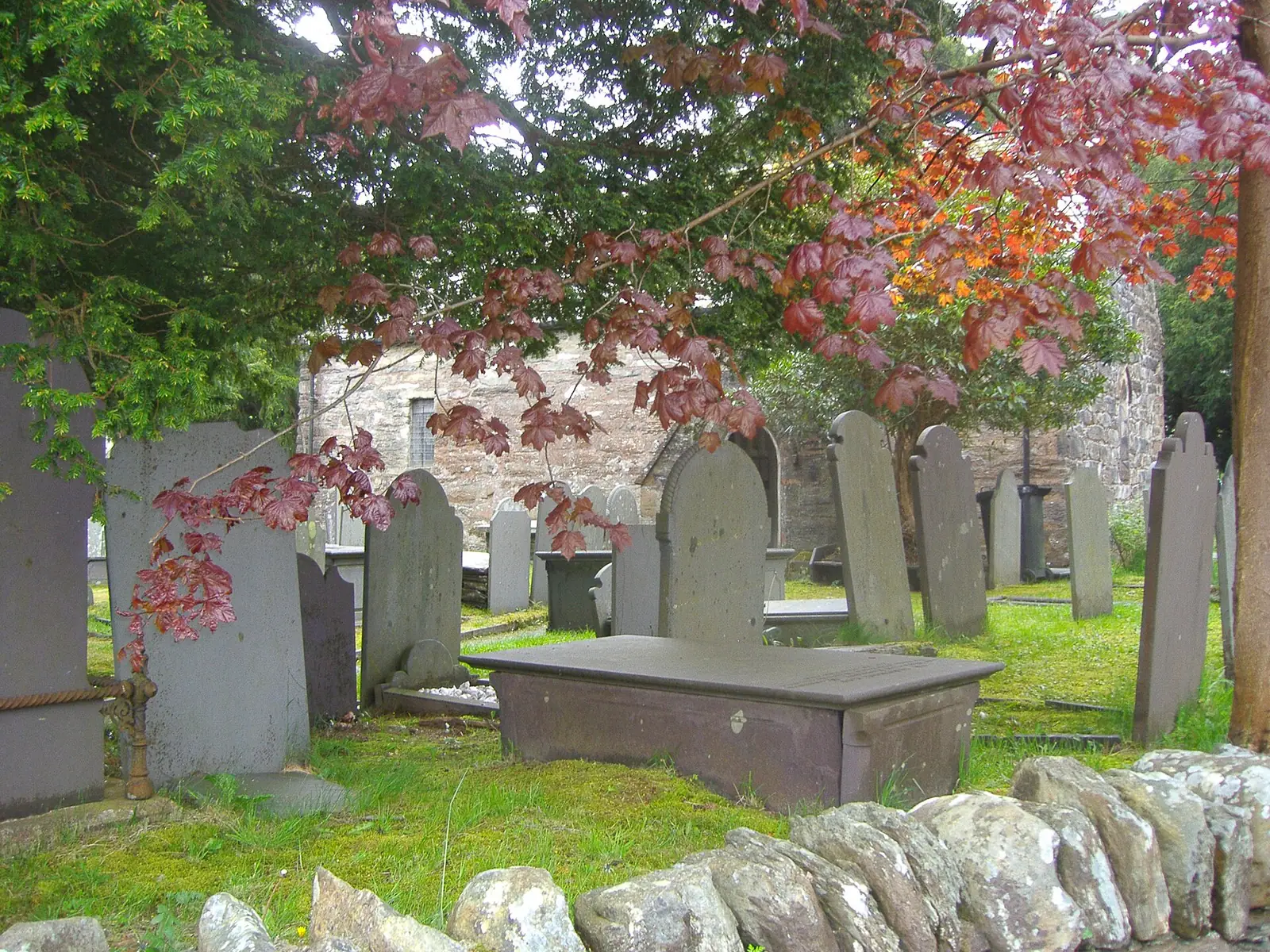The churchyard at St Gwyddelan's, Dolwyddelan, headstones and a table tomb under a red-leaved maple