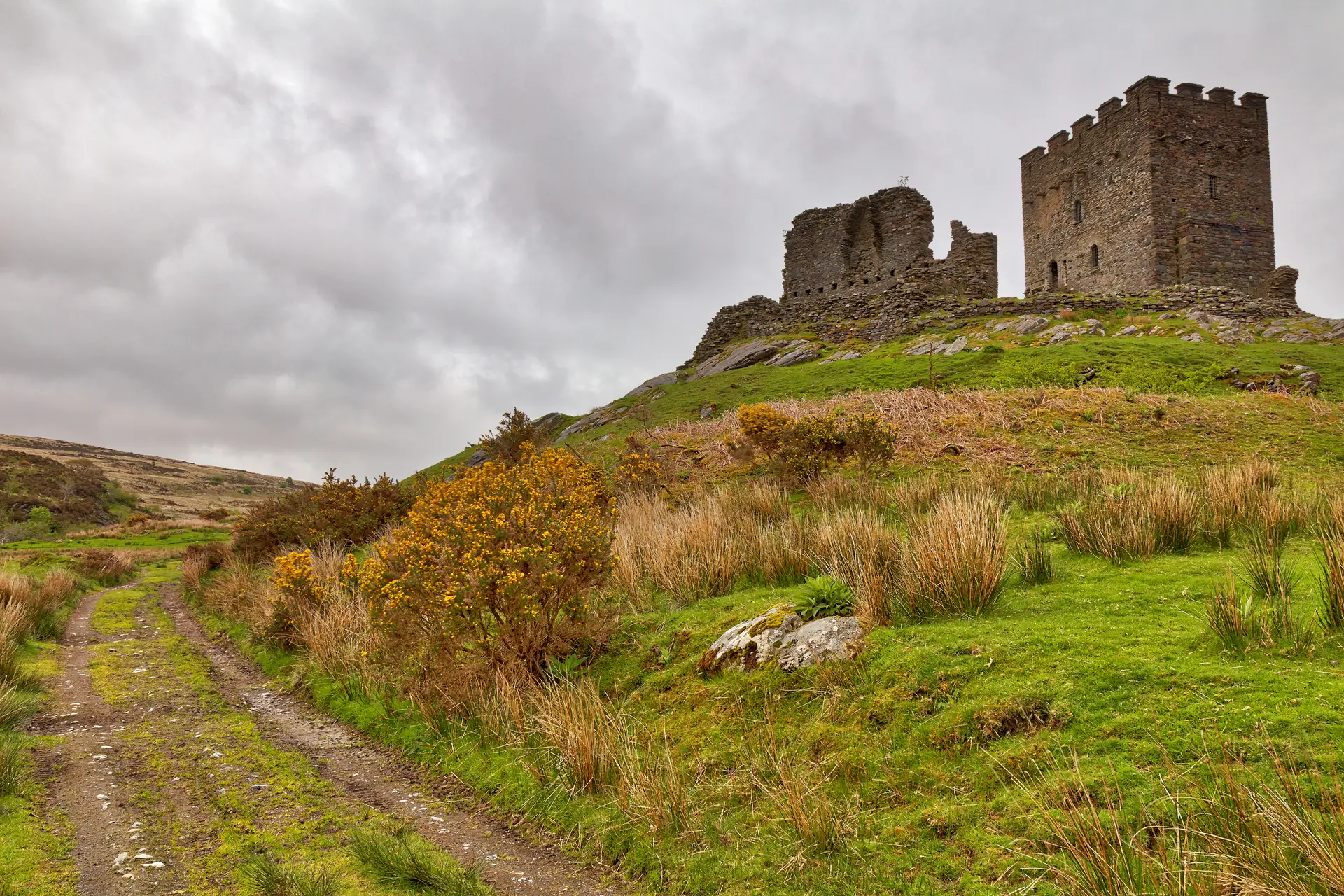 Dolwyddelan Castle's keep and ruined west tower on their rocky knoll above a farm track, under a heavy grey sky