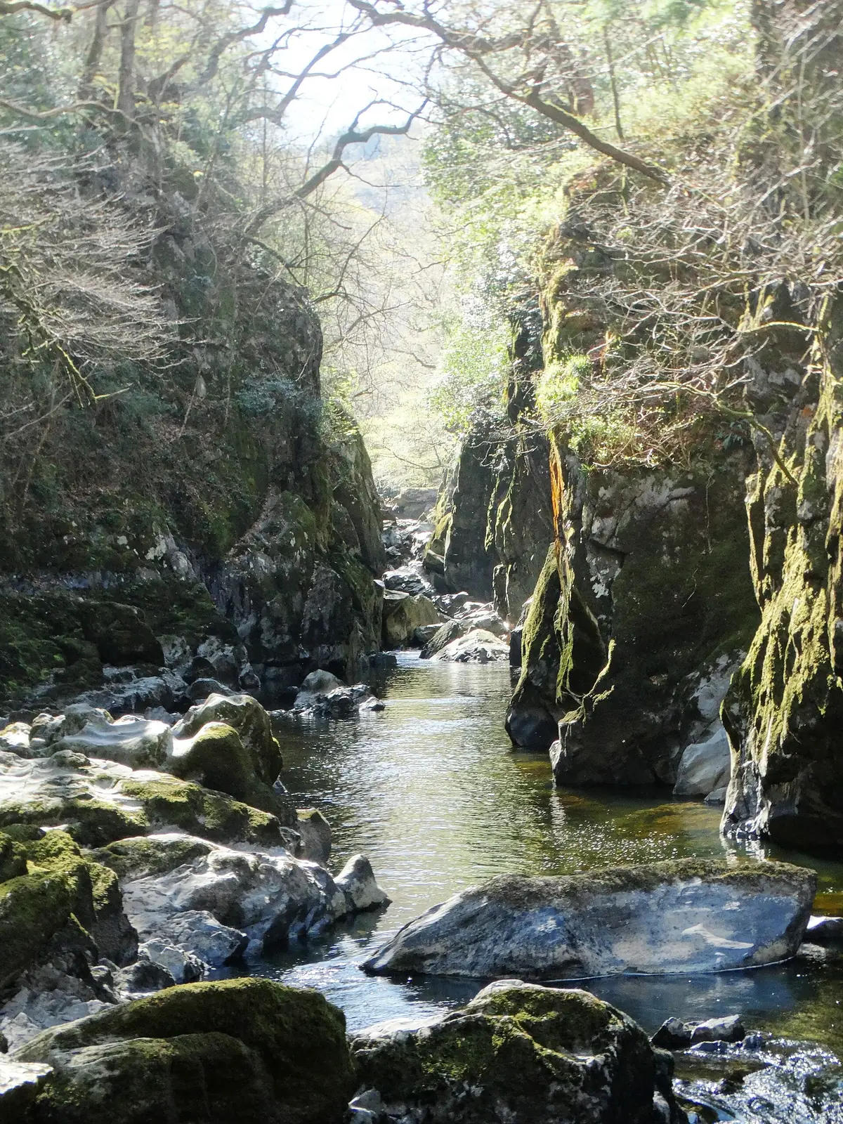 A calm stretch of the River Conwy inside the mossy, wooded gorge at Fairy Glen.