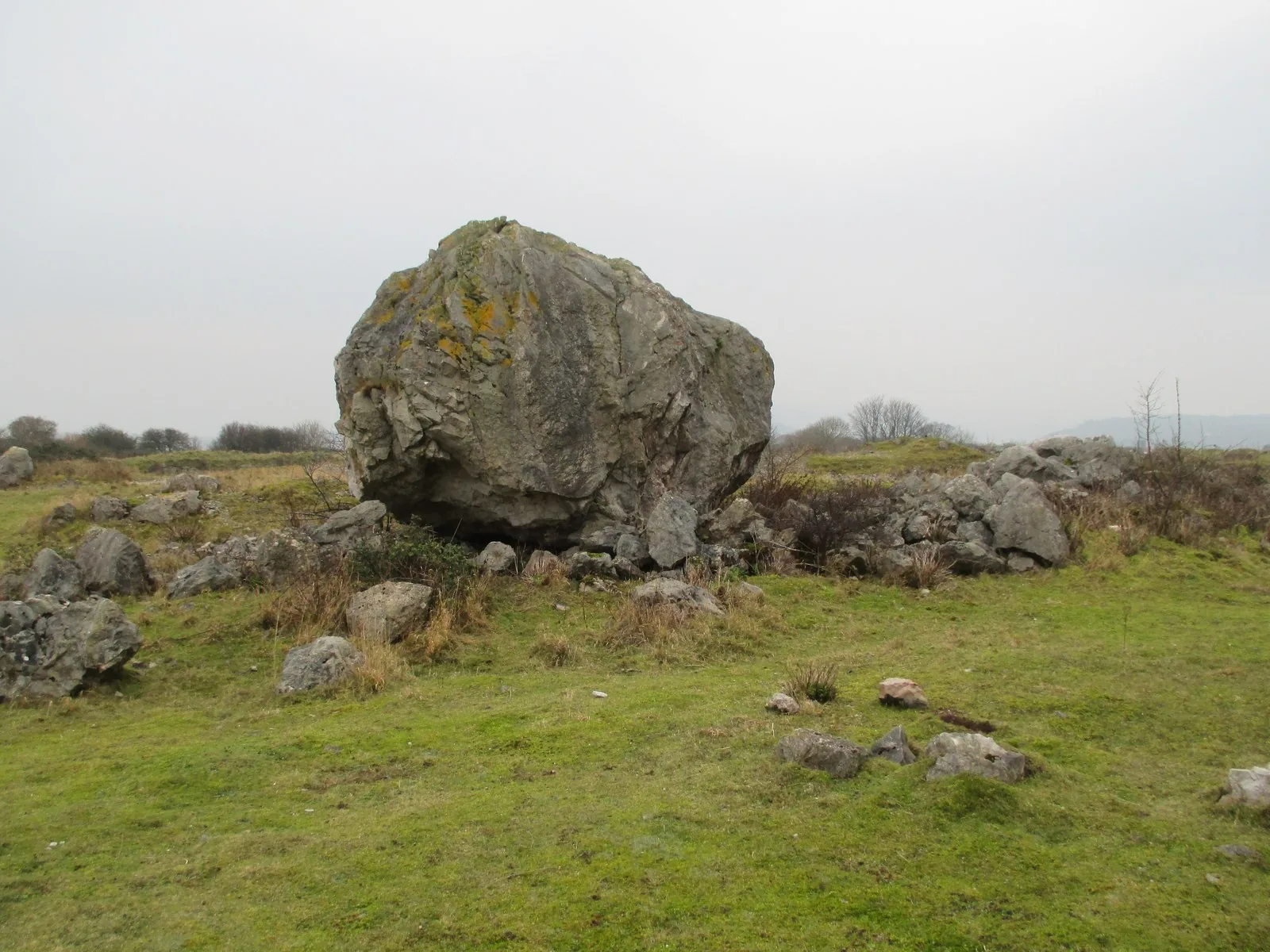 A large lichen-marked limestone boulder among the grassland at Trwyn y Fuwch on the Little Orme.