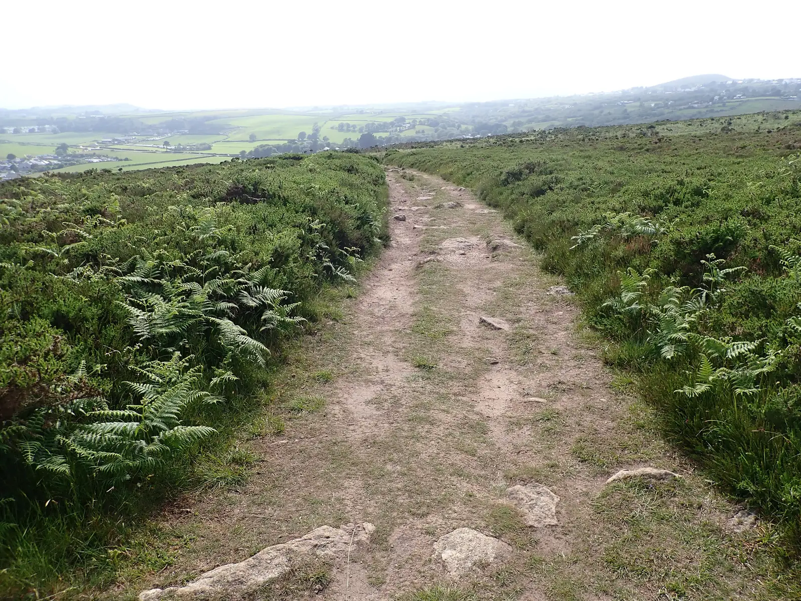 The Wales Coast Path running as a broad worn track through bracken and gorse on Mynydd Tir-y-Cwmwd