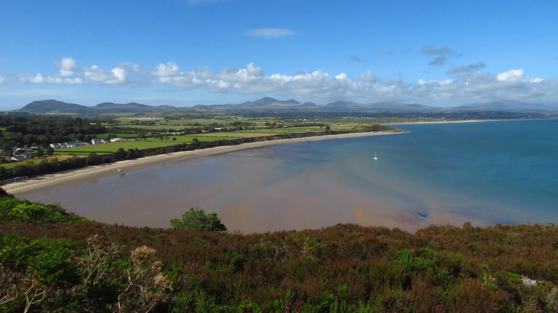 Llanbedrog bay seen from the heather on Mynydd Tir-y-Cwmwd, the sand curving away below the village with the hills of Llŷn beyond
