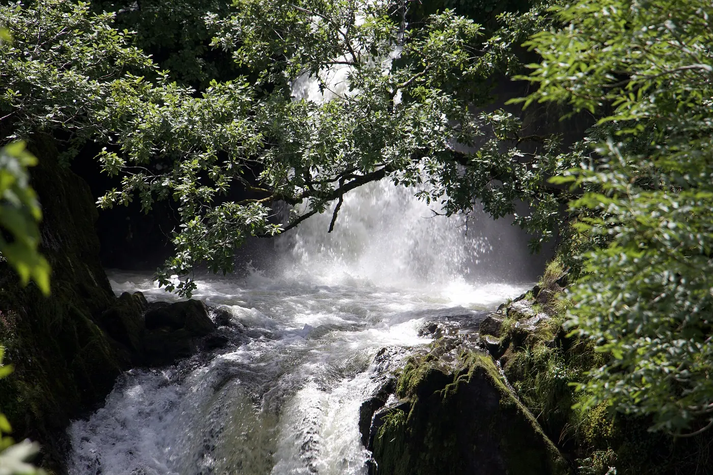 Ceunant Mawr waterfall dropping through the wooded gorge above Llanberis