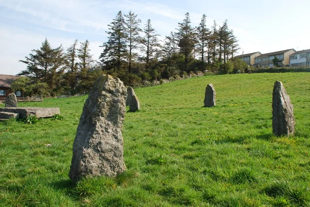 A ring of rough standing stones set in grass on the edge of Llangefni, conifers along the skyline behind