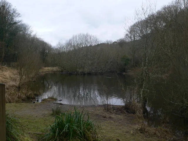 The old mill pond in the Dingle, Llangefni, still water under bare winter trees