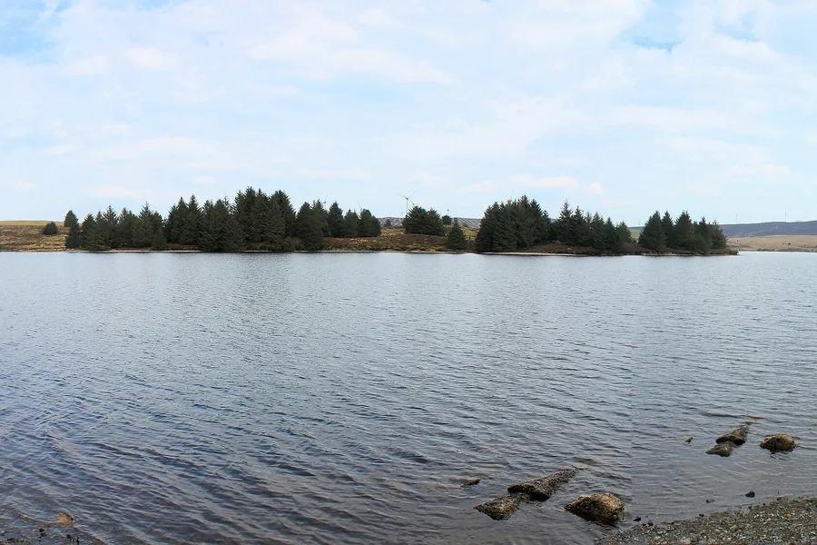 Open water at Llyn Brenig with a conifer-lined shore and the moorland of Mynydd Hiraethog beyond.