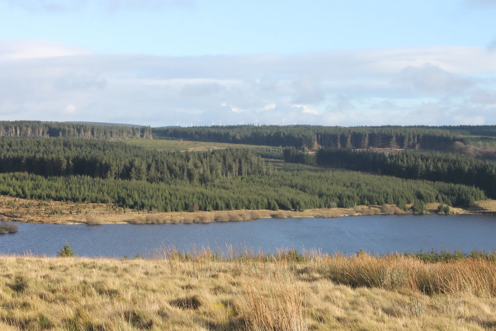 Moorland and conifer forest around Alwen Reservoir on Mynydd Hiraethog.