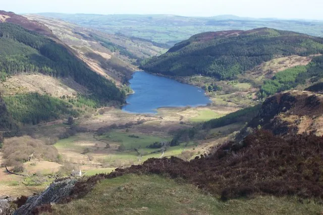 Llyn Crafnant seen from the summit of Crimpiau, within its wider forested valley.