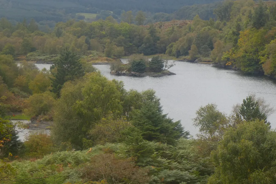 Llyn Elsi seen from above, a wooded island in open water ringed by the conifer plantation of Gwydir Forest.