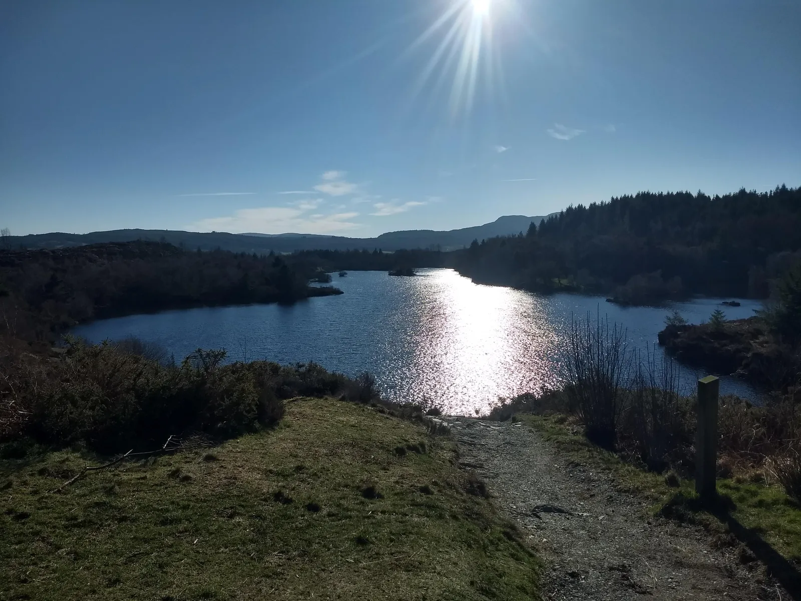 Low sun on Llyn Elsi, the water bright between dark wooded shores, with a waymark post beside the path in the foreground.