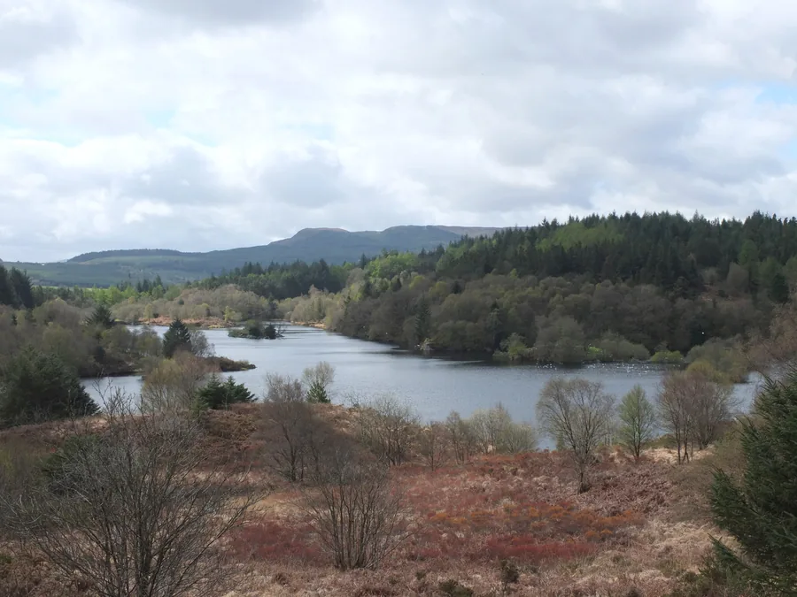 Llyn Elsi seen from above, a wooded island in open water ringed by the conifer plantation of Gwydir Forest.