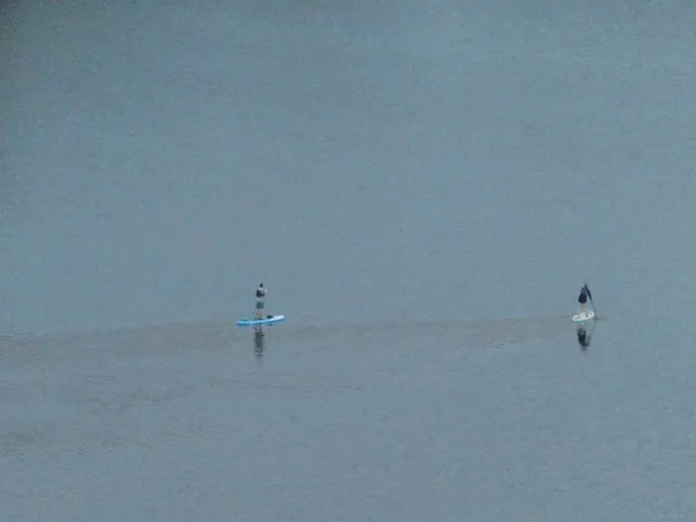 Stand-up paddleboarders on the open water of Llyn Tegid.