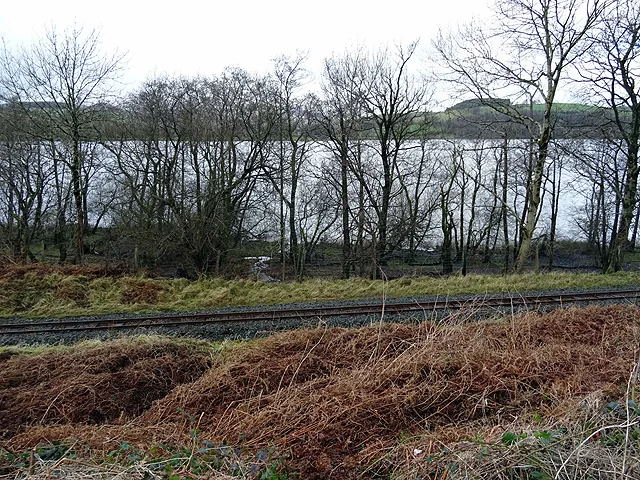 The Bala Lake Railway trackside, with the lake beyond.