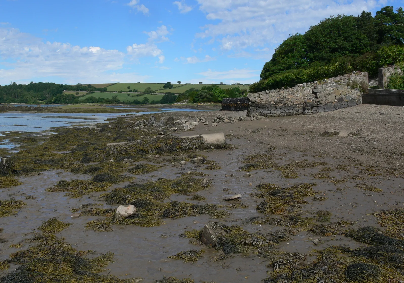 Low tide on the Menai Strait at Menai Bridge, weed-covered rock exposed along the shore and the far bank green beyond the channel