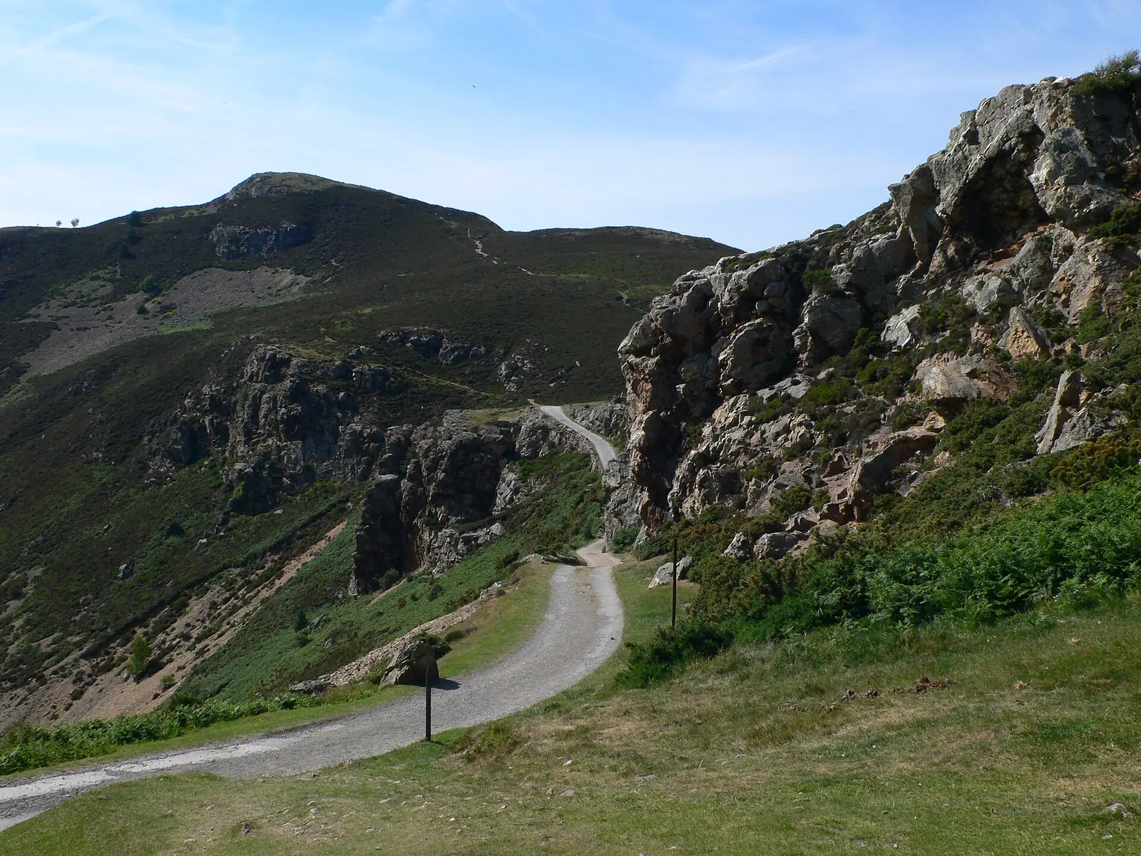 The path up Conwy Mountain from the Sychnant Pass