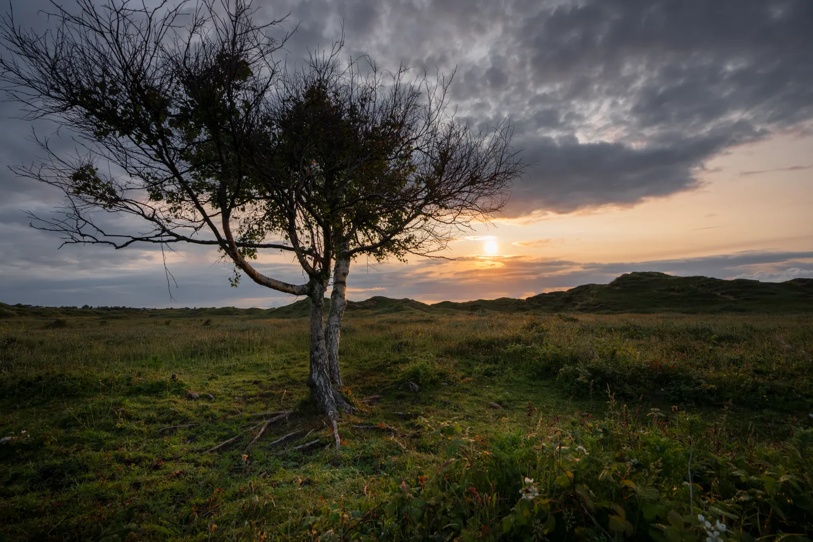 Dunes and open sky at Newborough at sunrise.