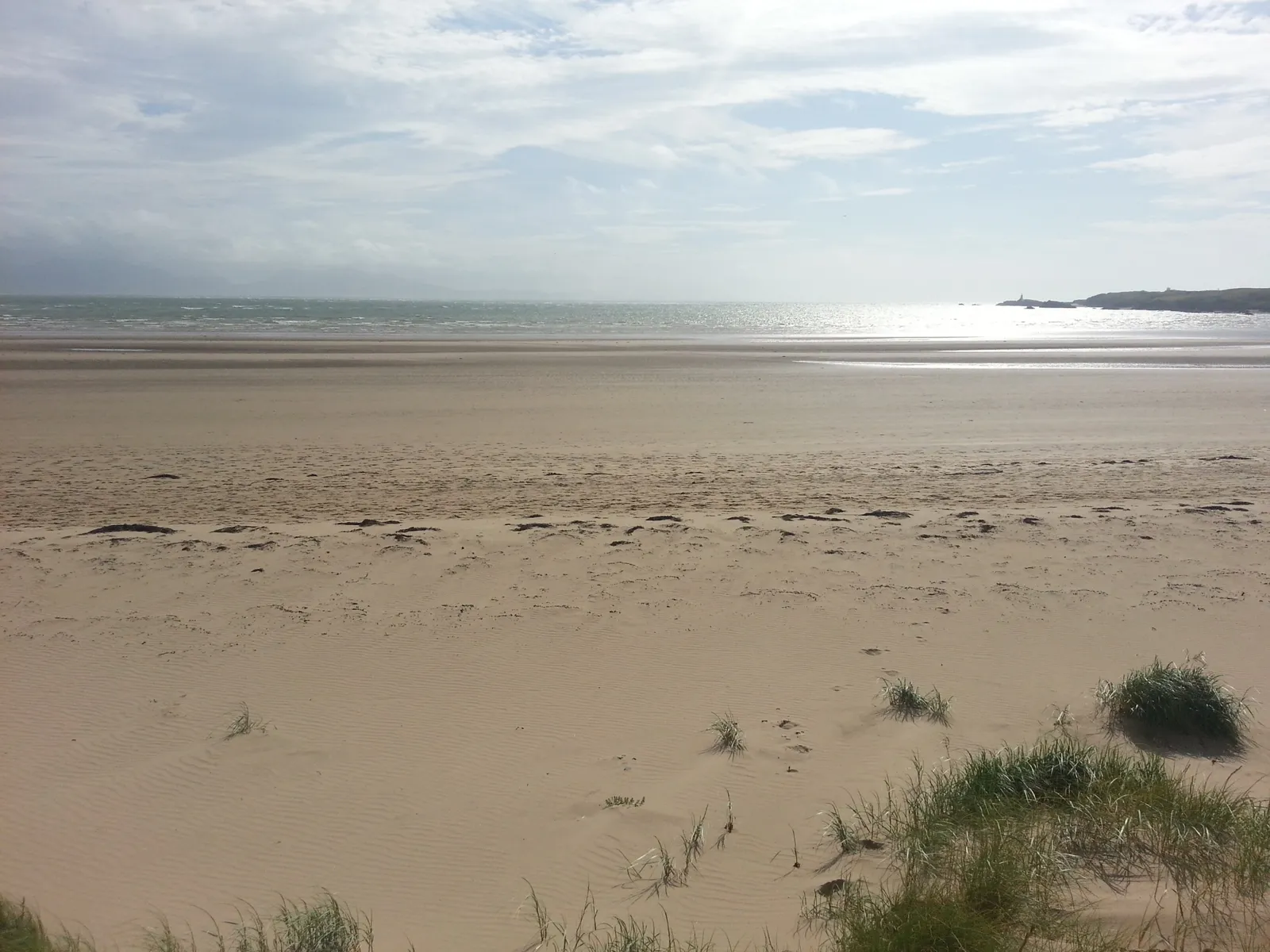 Newborough Beach, Anglesey — the wide flat strand at low tide, pine forest behind the dune ridge to the east.