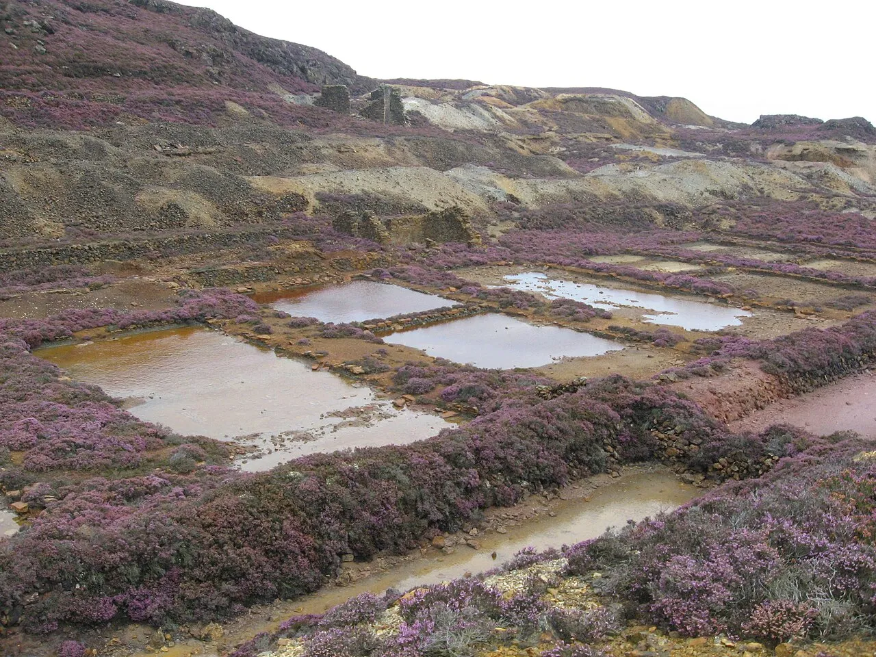 The precipitation ponds at Parys Mountain, where copper was recovered from highly acidic mine water: vivid colour, genuine hazard.