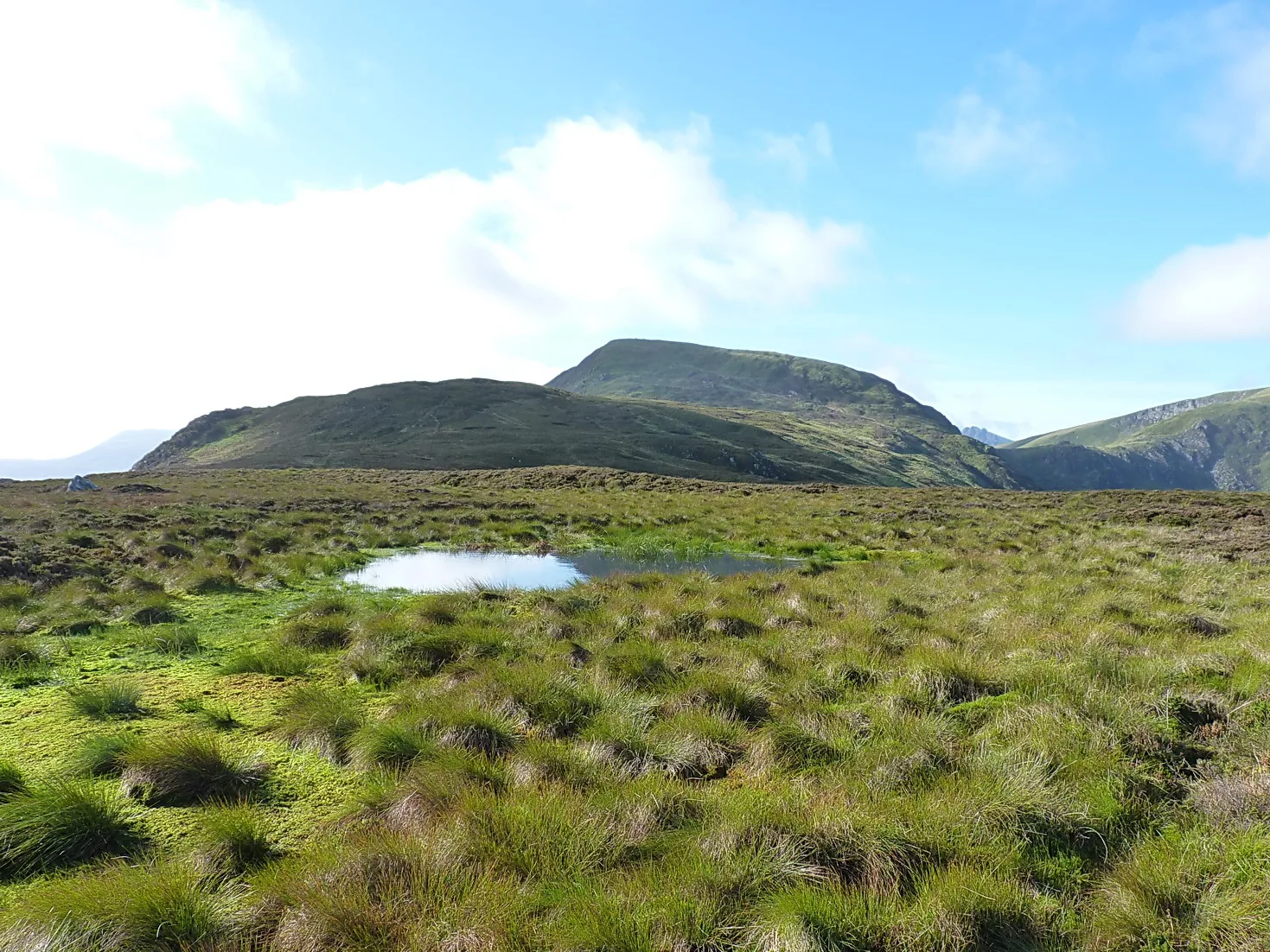 A bog pool in rough tussock grass with Pen Llithrig y Wrach rising behind it